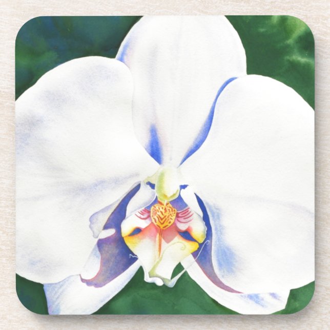 Posavasos Elegante pintura de orquídeas de color blanco (Frente)