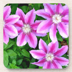 Posavasos Elegante rosa floral verde botánico