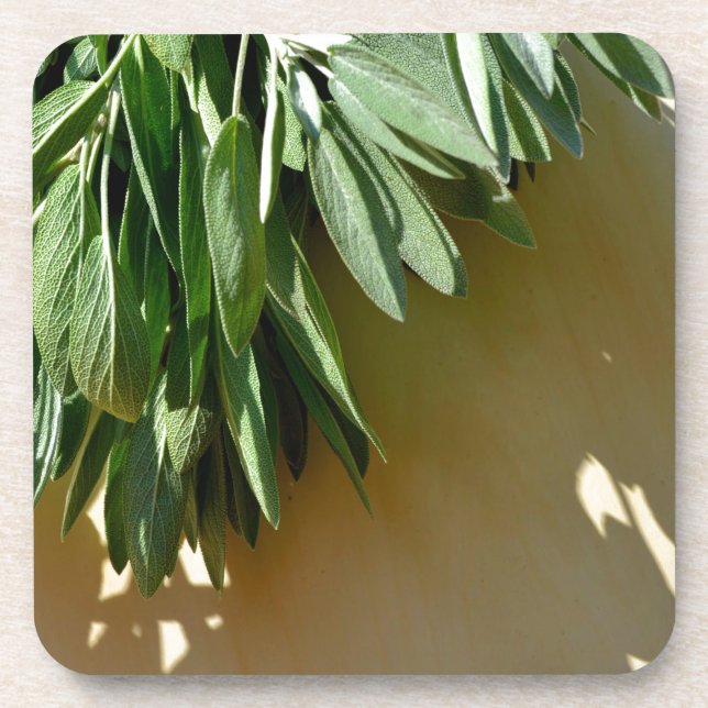 Posavasos Elegantes hierbas botánicas verdes dejan sabio (Frente)