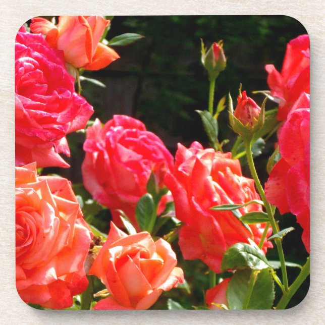 Posavasos Elegantes naranjas rojos  rosas florales (Frente)