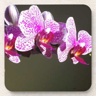 Posavasos Elegantes orquídeas rosa floral tropical rosa