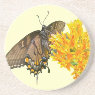 Posavasos Elemento de mariposa de cola de cereal (Papilio gl