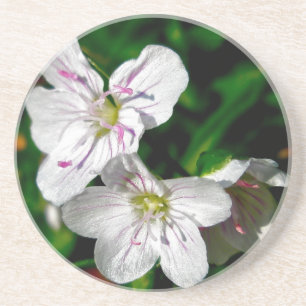 Posavasos Elementos de coordinación de flores silvestres de