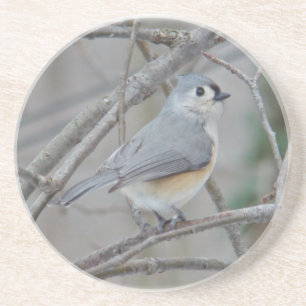 Posavasos Elementos de Titmouse (Baeolophus bicolor) con inc