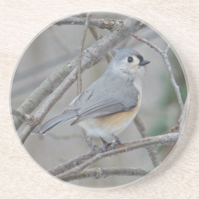 Posavasos Elementos de Titmouse (Baeolophus bicolor) con inc (Frente)