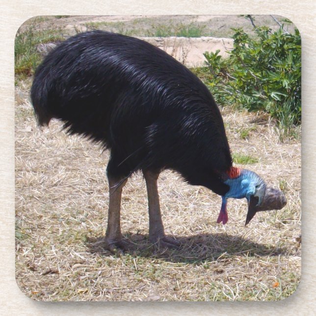 Posavasos Eliminador Cassowary Bird Bug, (Frente)