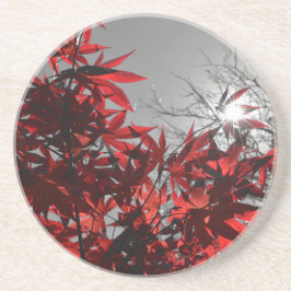 Posavasos Embers of Autumn