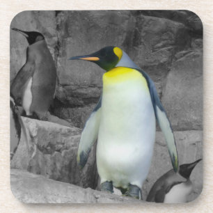 Posavasos Emperador Penguin