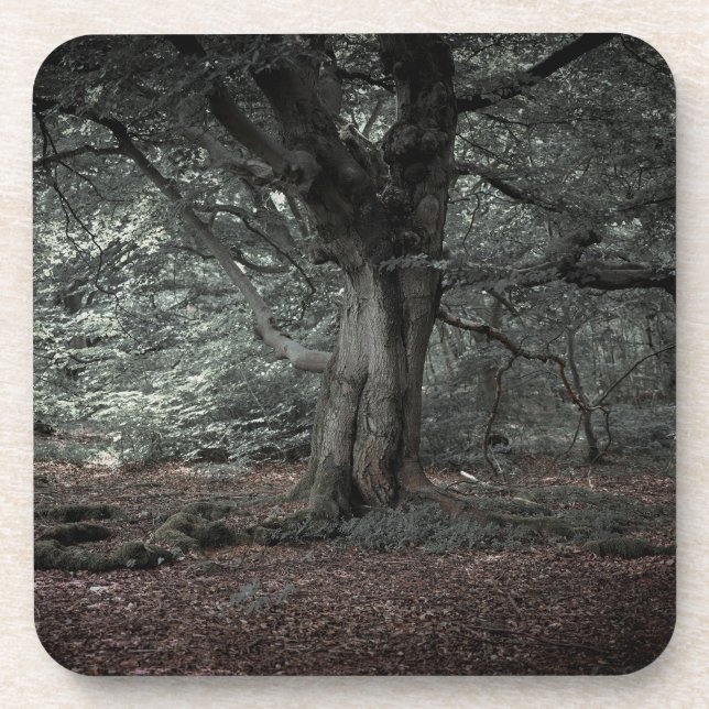 Posavasos En el bosque de cuento de hadas (Frente)