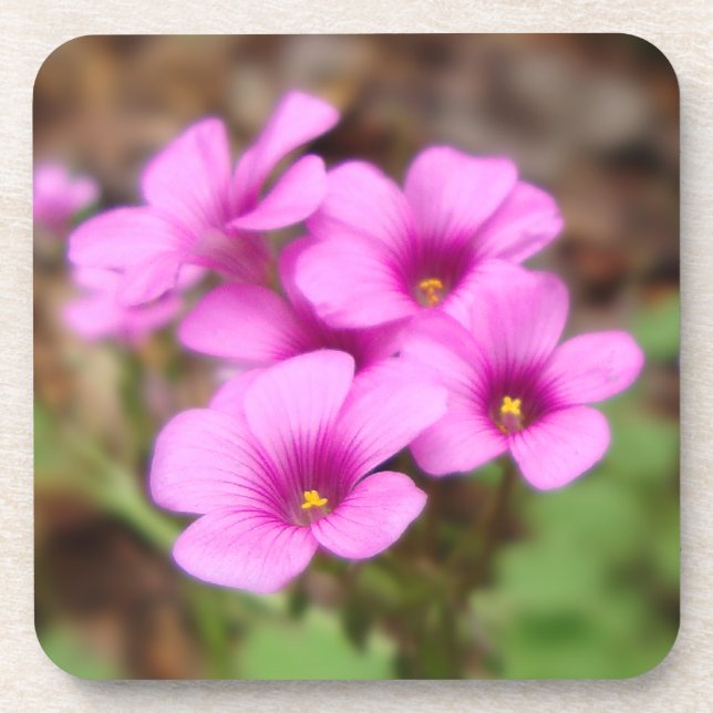 Posavasos En Mi Pascua De Corcho En La Puerta (Frente)