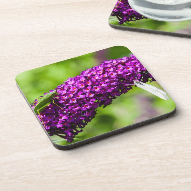 Posavasos energía de la katydid (Lado Izquierdo)