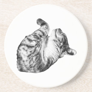 Posavasos Error en Ember-Step