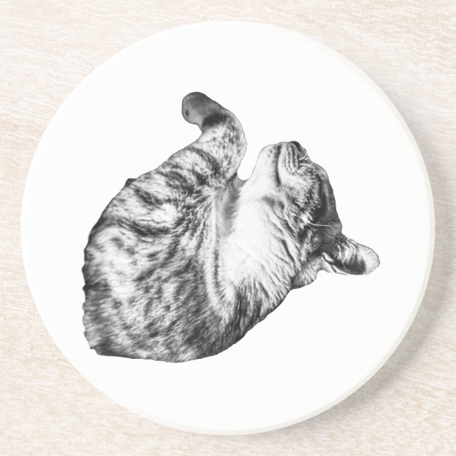 Posavasos Error en Ember-Step (Frente)