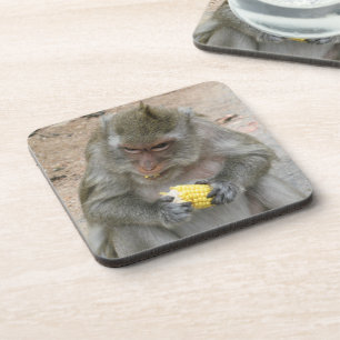 Posavasos ¡Es mío! ... Mono Macaque tailandés salvaje