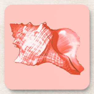 Posavasos Esbozo de concha - coral, cáscara rosa y blanco