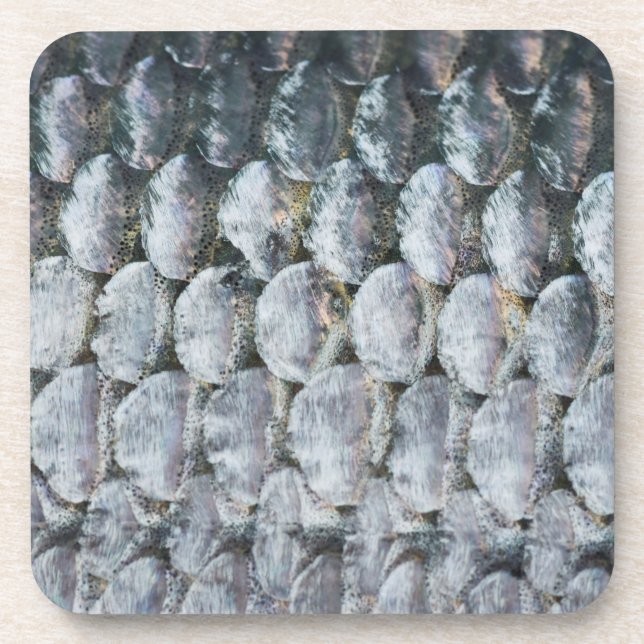 Posavasos Escalas de Salmon brillantes (Frente)