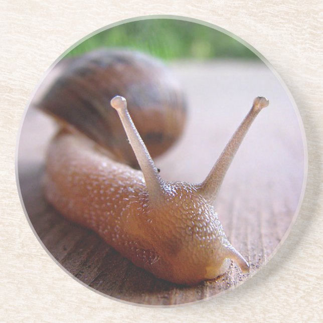 Posavasos Escarnio (Frente)