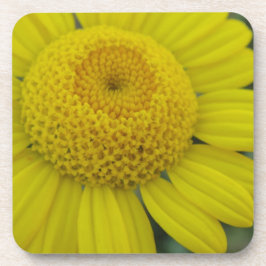 Posavasos escayola de papel cuadrado de marguerita amarillo