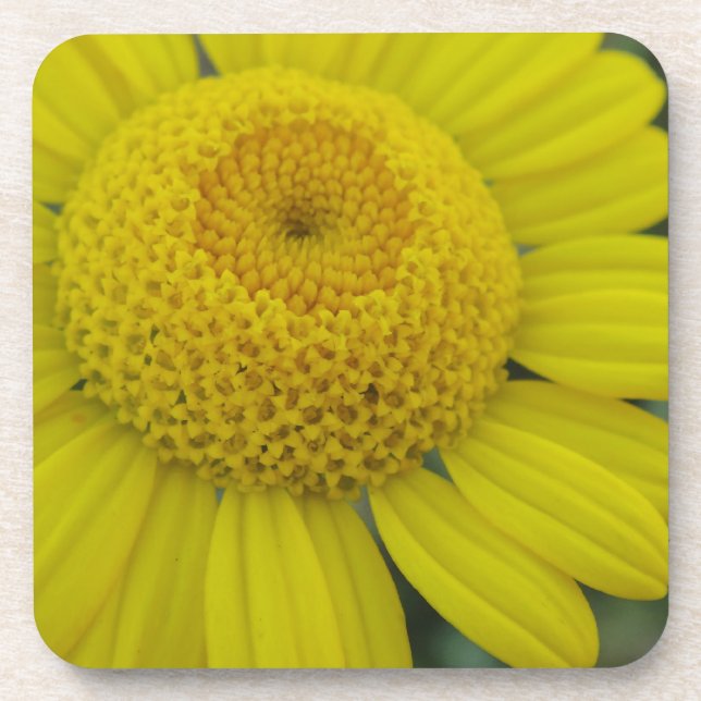 Posavasos escayola de papel cuadrado de marguerita amarillo  (Frente)