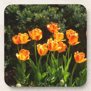 Posavasos escayola plástica de tulipanes amarillos y naranja