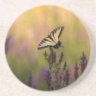 Posavasos Escena de verano, mariposa y loosestrife