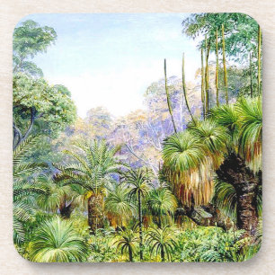 Posavasos Escena forestal del norte en Australia Occidental,