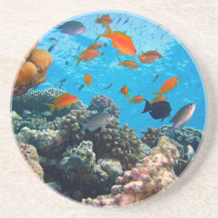 Posavasos Escena submarina