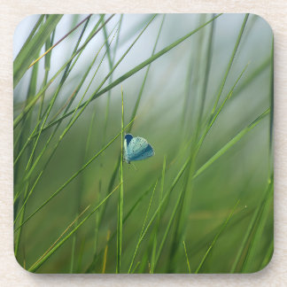 Posavasos Escena tranquila de la naturaleza Mariposa azul de