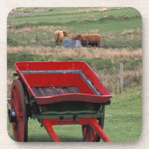 Posavasos Escocia, Isla de Skye, Kilmuir. Animales de granja