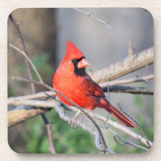 Posavasos Escudo cardinal
