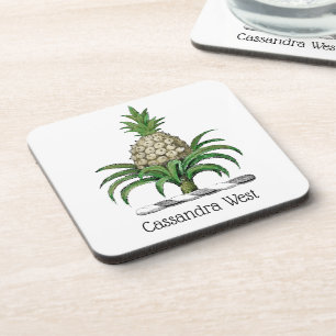 Posavasos Escudo de Armas Cresta Heráldica de Piña Preppy