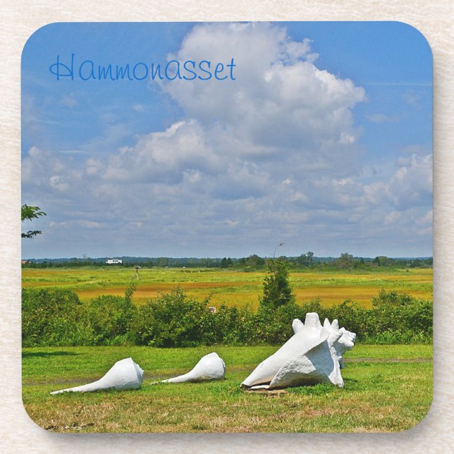 Posavasos Escultura de conchas marinas (Frente)