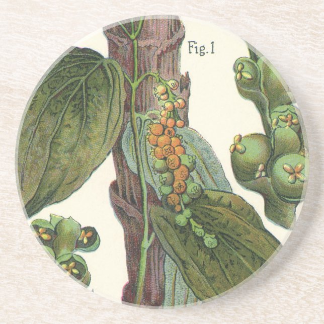 Posavasos Especias de hierbas aromáticas, planta de pimienta (Frente)