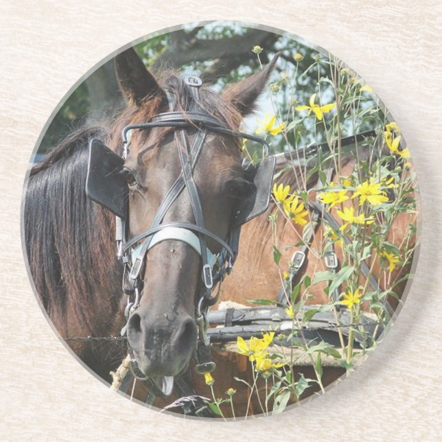 Posavasos Esperando caballo amoroso (Frente)