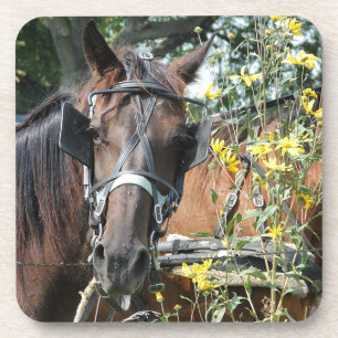 Posavasos Esperando caballo amoroso