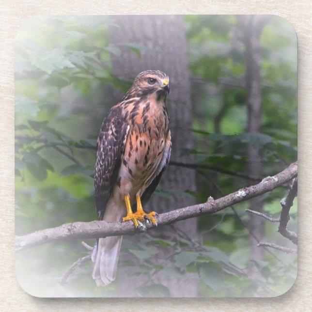 Posavasos Espíritu Del Halcón (Frente)