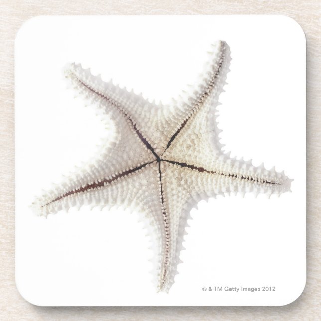 Posavasos Esqueleto de las estrellas de mar, primer (Frente)