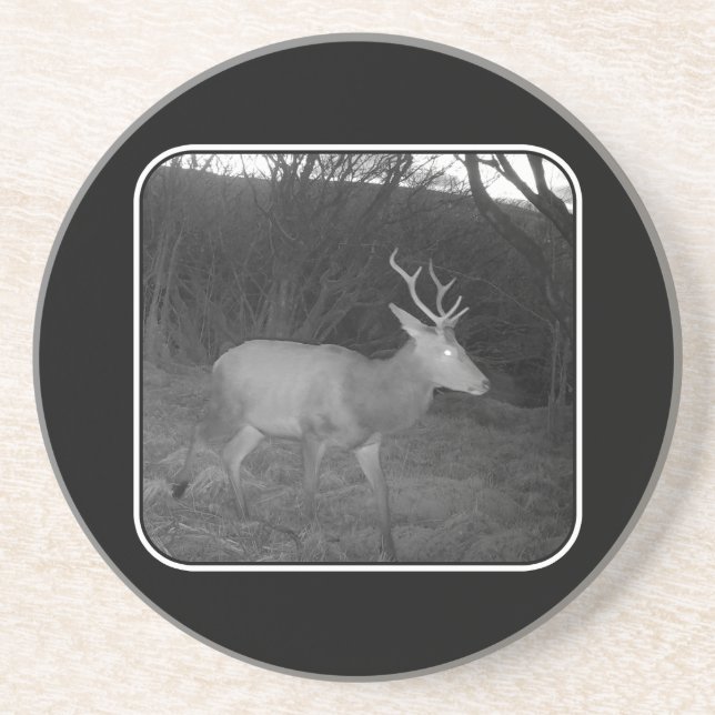 Posavasos Estación de ciervos rojos en la montaña rusa de ar (Frente)