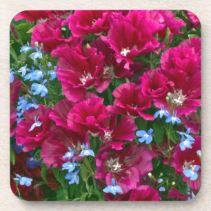 Posavasos Estaciones De Godetia Y Lobelia