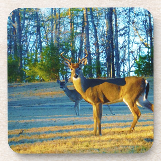 Posavasos Estadio/Deer Buck, cielo azul brillante (Frente)