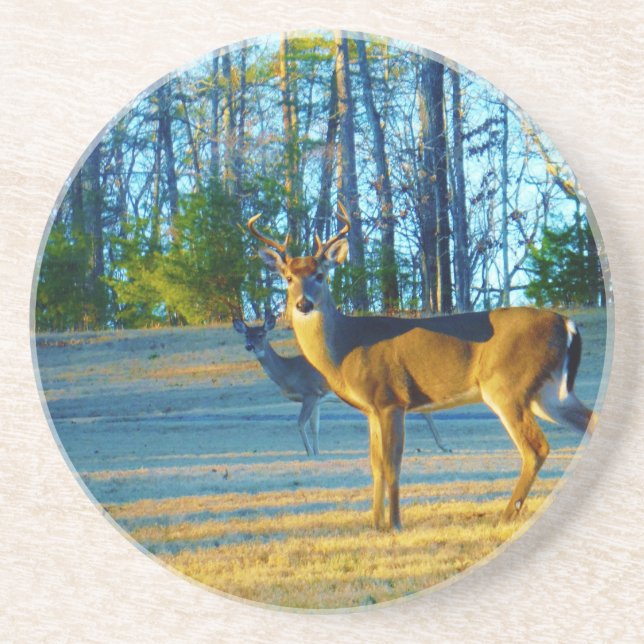 Posavasos Estadio/Deer Buck, cielo azul brillante (Frente)
