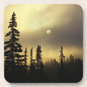 Posavasos Estados Unidos, Colorado, Bosque Nacional de San I