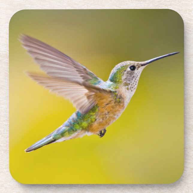 Posavasos Estados Unidos, Colorado, Condado de la Cumbre, He (Frente)