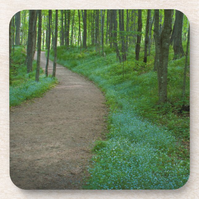 Posavasos Estados Unidos, Michigan. Camino de las cataratas  (Frente)