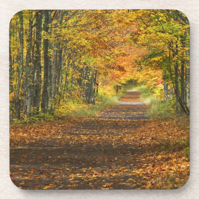 Posavasos Estados Unidos, Michigan, Península Superior. Carr (Frente)