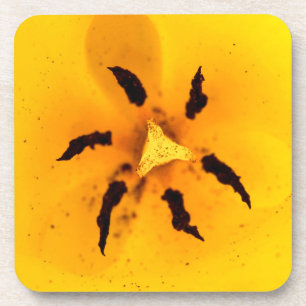 Posavasos Estambre de tulipán y polen
