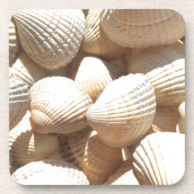 Posavasos Estanques tropicales soleados de mar exótico (Frente)