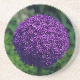 Posavasos Estética de flor aliada púrpura perfecta