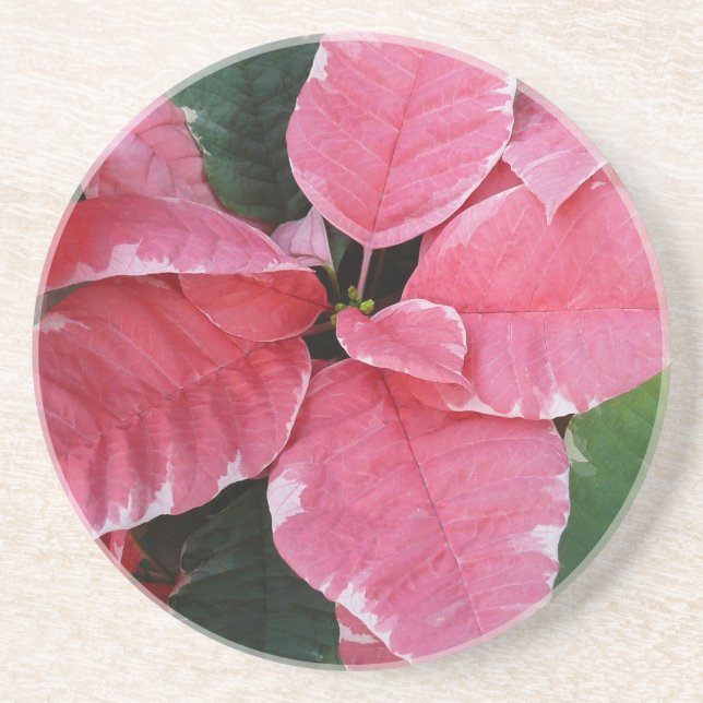 Posavasos Estrella plateada de mármol Poinsettias Flor de va (Frente)