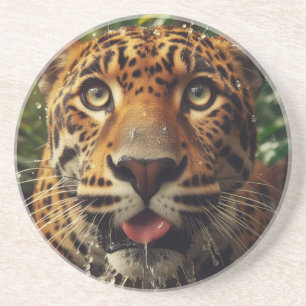Posavasos Estrellas de leopardo mientras agita agua en la ju